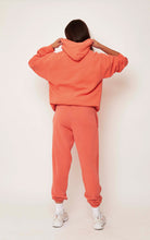 Load image into Gallery viewer, Orange Burst Eddie Easy Jogger
